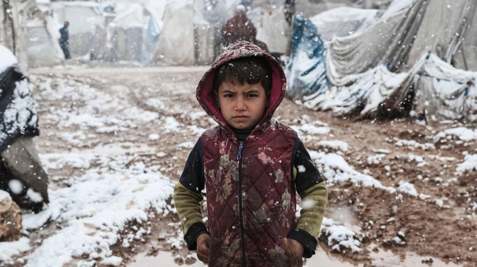 musim dingin gaza palestina