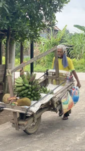 Program pemberdayaan lansia