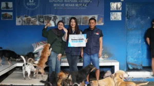 Penyaluran donasi anjing