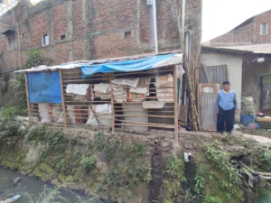 Lansia pejuang nafkah