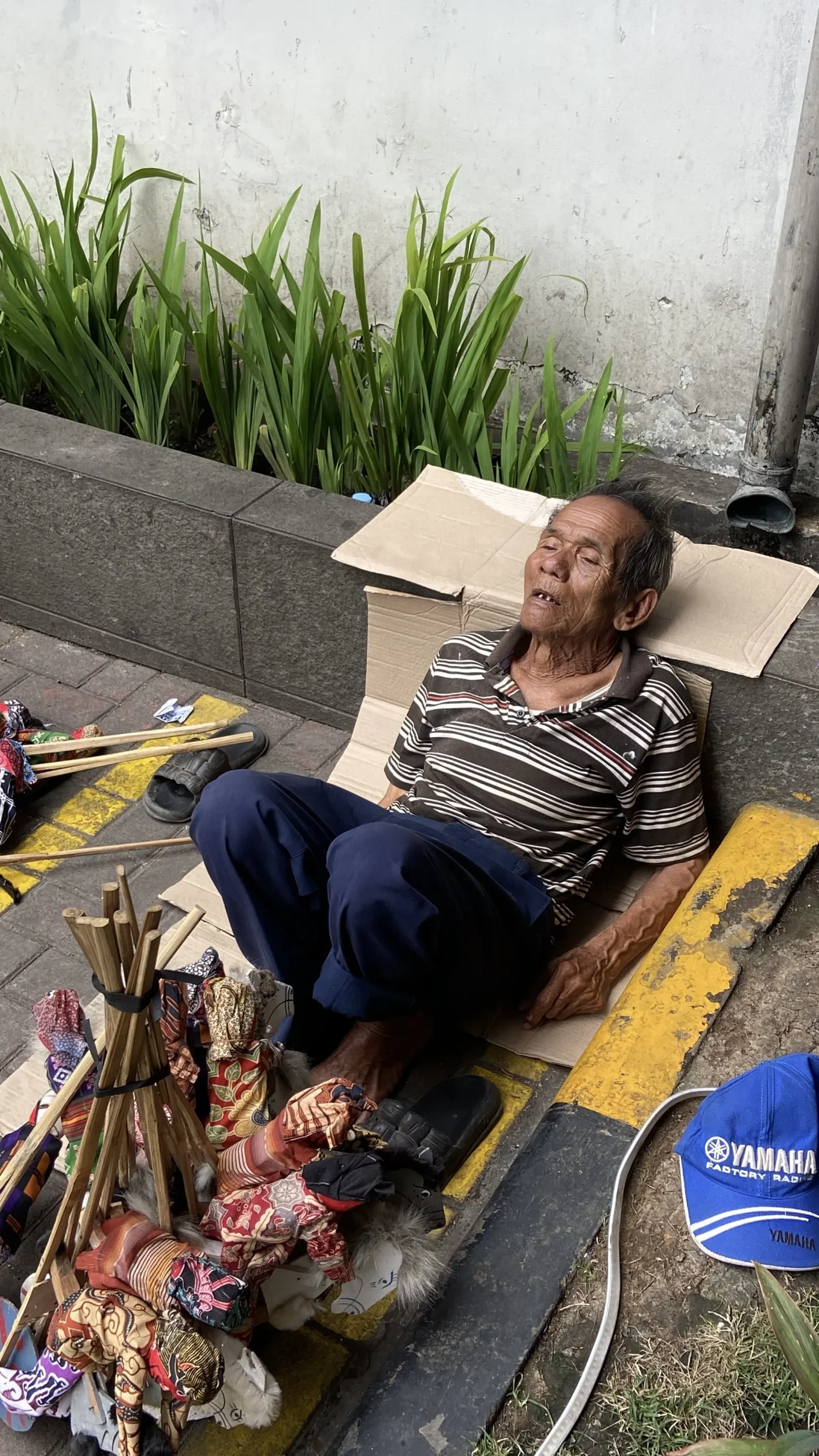 Bantu Teman Indonesia