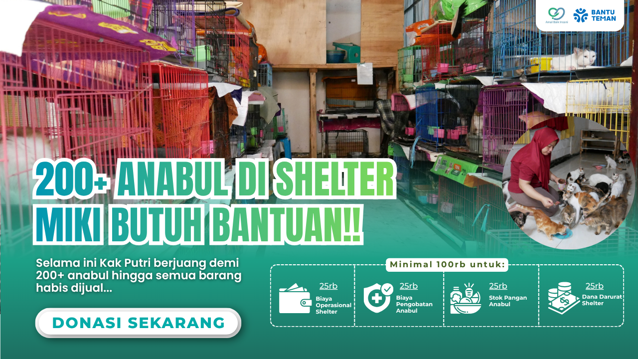Bantu Teman Indonesia