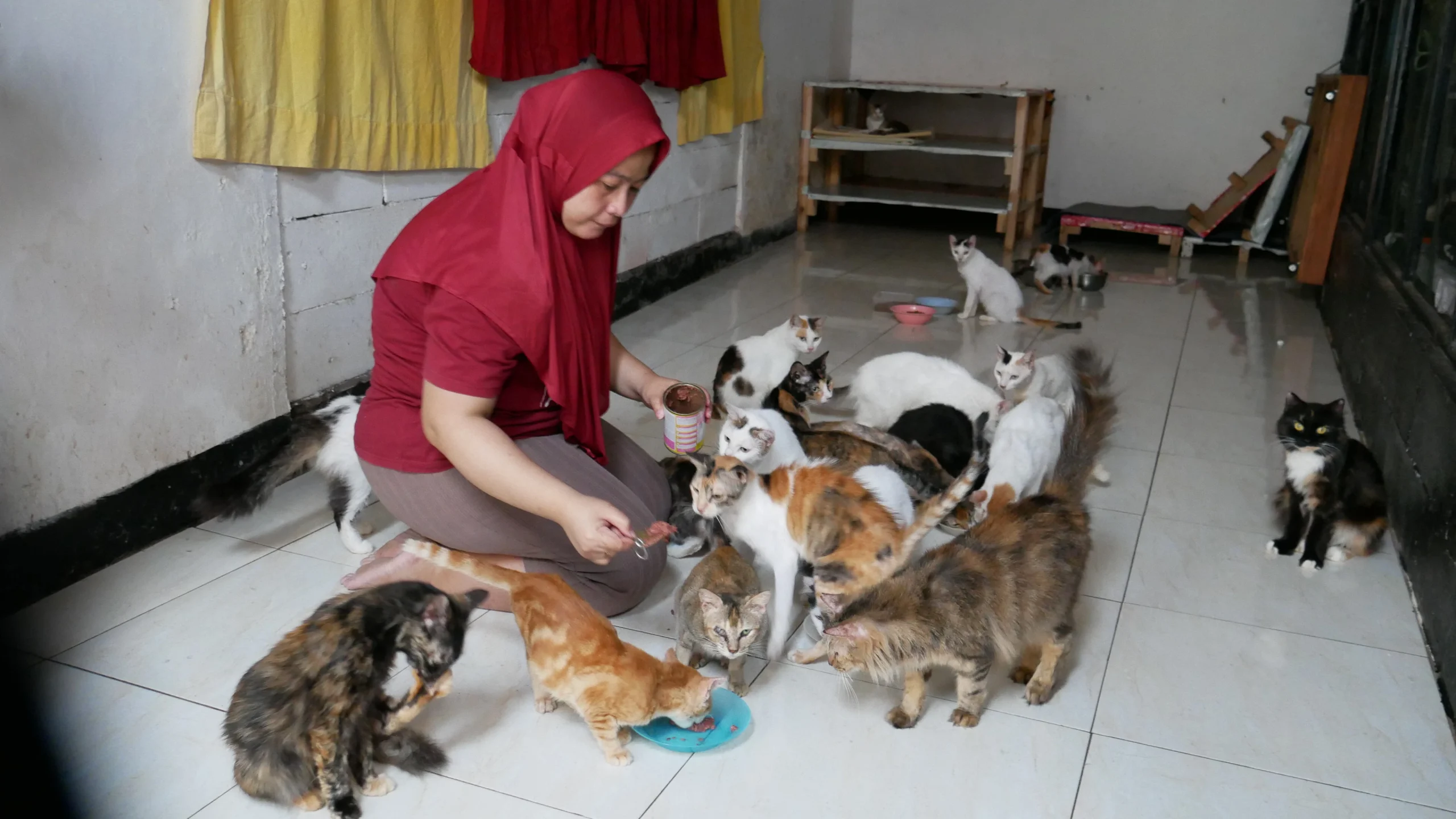 Bantu Teman Indonesia